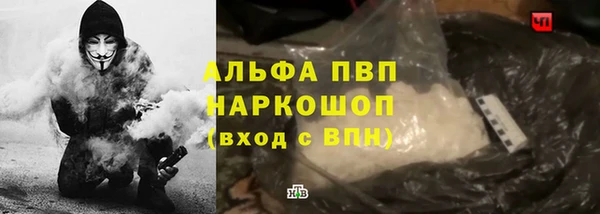 эйфоретик Беломорск